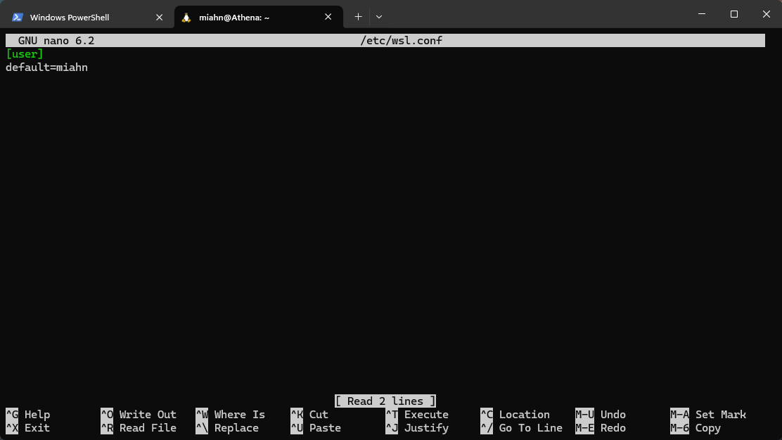 Illustration for Installing Multiple Copies of Ubuntu in Windows WSL