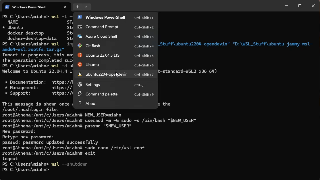 Illustration for Installing Multiple Copies of Ubuntu in Windows WSL